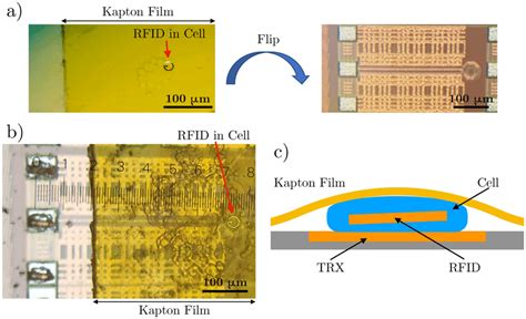 rfid chip bond cells|Intracellular detection and communication of a wireless chip in cell .